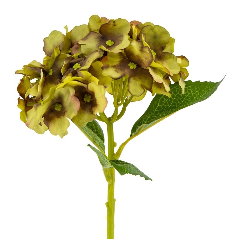 ФОТО КАРТИНКИ ЗОБРАЖЕННЯ Букет "Гортензія кімнатна", салатова BOHODAR 8114-013 РОЗДРІБ ОПТ ГУРТ ГУРТОМ ОПТОМ! З ЄВРОПИ! ЯКІСТЬ! Купити Львів Характеристики Ціна Оплата Доставка "БОГОДАР" ІНТЕРНЕТ-МАГАЗИН Огляд Рейтинг Порівняння Як вибрати Якісний