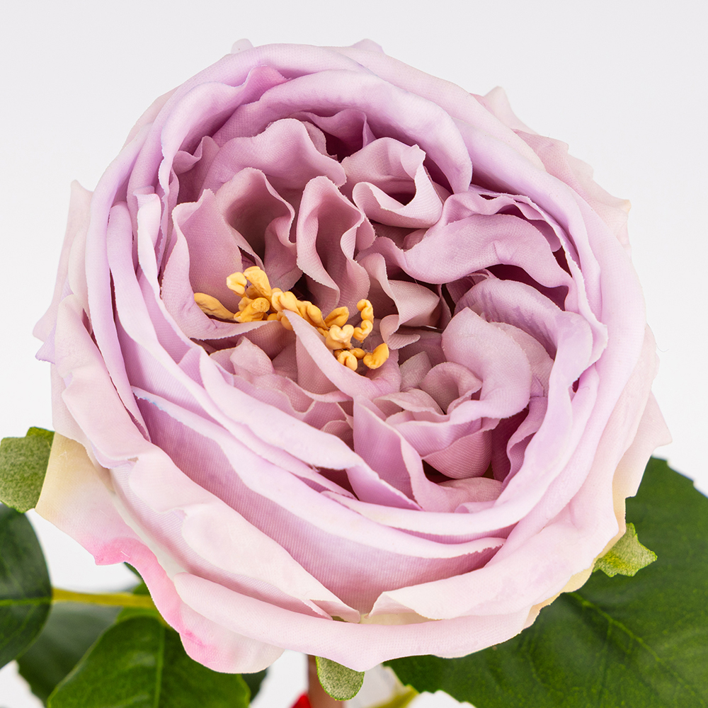 ФОТО КАРТИНКИ ЗОБРАЖЕННЯ Штучна піоновидна троянда з ефектом живого дотику, лілова, 53 см BOHODAR 2025-025 РОЗДРІБ ОПТ ГУРТ ГУРТОМ ОПТОМ! З ЄВРОПИ! ЯКІСТЬ! Купити Львів Характеристики Ціна Оплата Доставка "БОГОДАР" ІНТЕРНЕТ-МАГАЗИН Огляд Рейтинг Порівняння Як вибрати Якісний