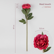 ФОТО КАРТИНКИ ЗОБРАЖЕННЯ Штучна півонія з ефектом живого дотику, темно-рожева, 67 см BOHODAR 2019-020 РОЗДРІБ ОПТ ГУРТ ГУРТОМ ОПТОМ! З ЄВРОПИ! ЯКІСТЬ! Купити Львів Характеристики Ціна Оплата Доставка "БОГОДАР" ІНТЕРНЕТ-МАГАЗИН Огляд Рейтинг Порівняння Як вибрати Якісний