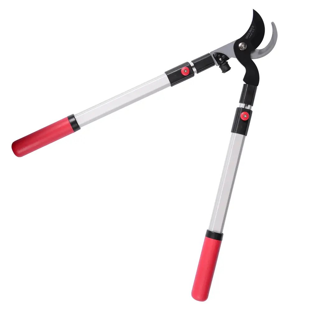 ФОТО КАРТИНКИ ЗОБРАЖЕННЯ Гілкоріз садовий телескопічний VITALS MASTER LS-910-01T : діаметр різу 35 мм, довжина 630 - 910 мм, вага 1.300 кг РОЗДРІБ ОПТ ГУРТ ГУРТОМ ОПТОМ! З ЄВРОПИ! ЯКІСТЬ! Купити Львів Характеристики Ціна Оплата Доставка "БОГОДАР" ІНТЕРНЕТ-МАГАЗИН Огляд Рейтинг Порівняння Як вибрати Якісний