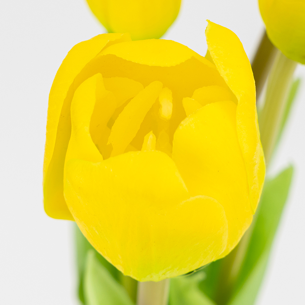 ФОТО КАРТИНКИ ЗОБРАЖЕННЯ Букет латексних тюльпанів, 5 бутонів, жовто-зелений, 45 см BOHODAR 2026-002/yellow РОЗДРІБ ОПТ ГУРТ ГУРТОМ ОПТОМ! З ЄВРОПИ! ЯКІСТЬ! Купити Львів Характеристики Ціна Оплата Доставка "БОГОДАР" ІНТЕРНЕТ-МАГАЗИН Огляд Рейтинг Порівняння Як вибрати Якісний