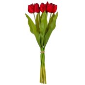 ФОТО КАРТИНКИ ЗОБРАЖЕННЯ Букет тюльпанів "Барви", червоний, 40 см BOHODAR 9129-023 РОЗДРІБ ОПТ ГУРТ ГУРТОМ ОПТОМ! З ЄВРОПИ! ЯКІСТЬ! Купити Львів Характеристики Ціна Оплата Доставка "БОГОДАР" ІНТЕРНЕТ-МАГАЗИН Огляд Рейтинг Порівняння Як вибрати Якісний