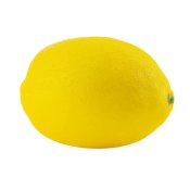 ФОТО КАРТИНКИ ЗОБРАЖЕННЯ Набір штучних лимонів, 12 шт, жовтий, 9 см 4SEASONS 9223-026 РОЗДРІБ ОПТ ГУРТ ГУРТОМ ОПТОМ! З ЄВРОПИ! ЯКІСТЬ! Купити Львів Характеристики Ціна Оплата Доставка "БОГОДАР" ІНТЕРНЕТ-МАГАЗИН Огляд Рейтинг Порівняння Як вибрати Якісний