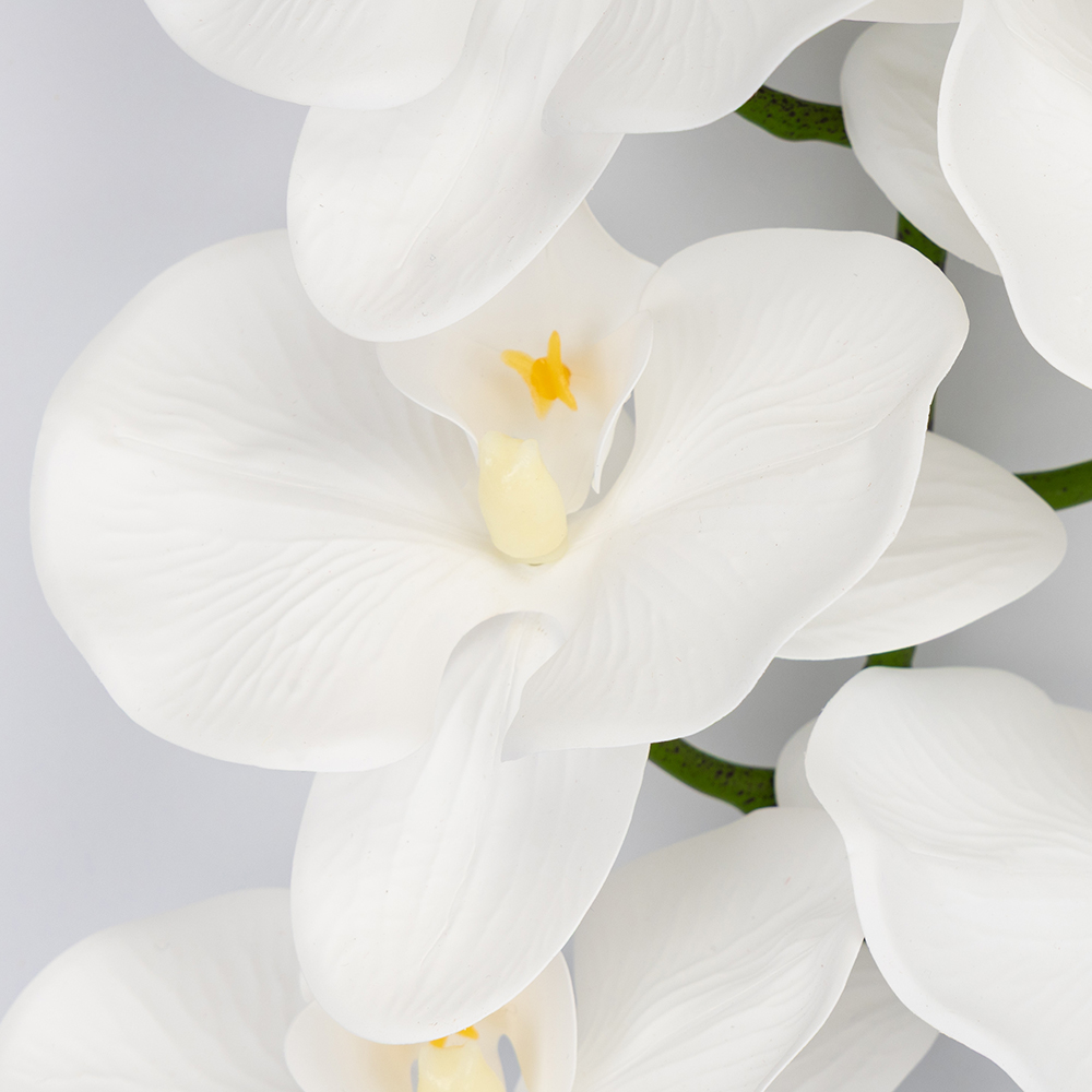 ФОТО КАРТИНКИ ЗОБРАЖЕННЯ Латексна орхідея, біла, 95 см BOHODAR 2026-021/white РОЗДРІБ ОПТ ГУРТ ГУРТОМ ОПТОМ! З ЄВРОПИ! ЯКІСТЬ! Купити Львів Характеристики Ціна Оплата Доставка "БОГОДАР" ІНТЕРНЕТ-МАГАЗИН Огляд Рейтинг Порівняння Як вибрати Якісний