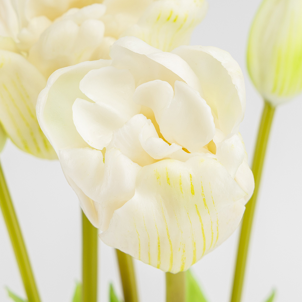 ФОТО КАРТИНКИ ЗОБРАЖЕННЯ Букет латексних тюльпанів, 5 бутонів, біло-зелений, 49 см BOHODAR 2026-005/white РОЗДРІБ ОПТ ГУРТ ГУРТОМ ОПТОМ! З ЄВРОПИ! ЯКІСТЬ! Купити Львів Характеристики Ціна Оплата Доставка "БОГОДАР" ІНТЕРНЕТ-МАГАЗИН Огляд Рейтинг Порівняння Як вибрати Якісний