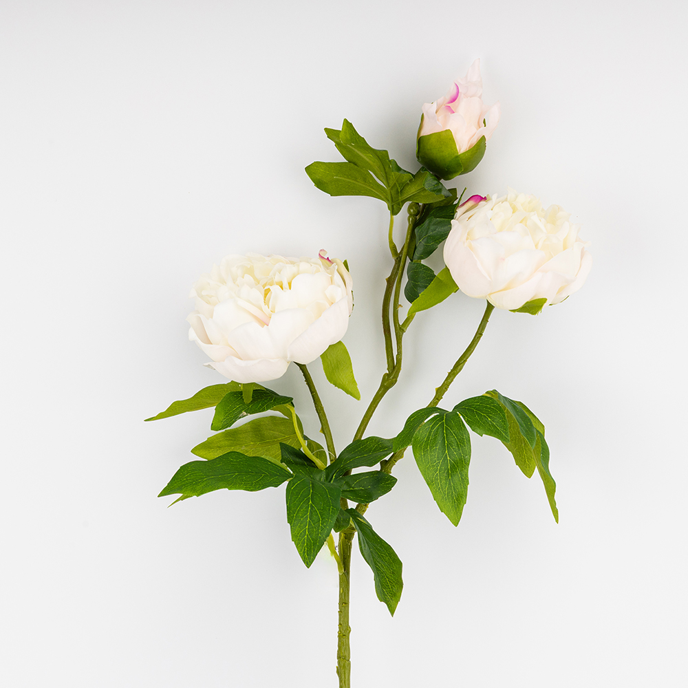 ФОТО КАРТИНКИ ЗОБРАЖЕННЯ Штучна півонія з 3 бутонами з ефектом живого дотику, біла, 80 см BOHODAR 2025-009 РОЗДРІБ ОПТ ГУРТ ГУРТОМ ОПТОМ! З ЄВРОПИ! ЯКІСТЬ! Купити Львів Характеристики Ціна Оплата Доставка "БОГОДАР" ІНТЕРНЕТ-МАГАЗИН Огляд Рейтинг Порівняння Як вибрати Якісний