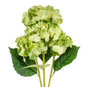 ФОТО КАРТИНКИ ЗОБРАЖЕННЯ Букет гортензій, 5 бутонів, зелений, 52 см BOHODAR 9207-024 РОЗДРІБ ОПТ ГУРТ ГУРТОМ ОПТОМ! З ЄВРОПИ! ЯКІСТЬ! Купити Львів Характеристики Ціна Оплата Доставка "БОГОДАР" ІНТЕРНЕТ-МАГАЗИН Огляд Рейтинг Порівняння Як вибрати Якісний