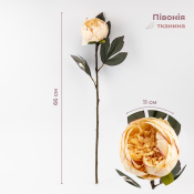 ФОТО КАРТИНКИ ЗОБРАЖЕННЯ Штучна півонія, кремова, 66 см BOHODAR 9249-004 РОЗДРІБ ОПТ ГУРТ ГУРТОМ ОПТОМ! З ЄВРОПИ! ЯКІСТЬ! Купити Львів Характеристики Ціна Оплата Доставка "БОГОДАР" ІНТЕРНЕТ-МАГАЗИН Огляд Рейтинг Порівняння Як вибрати Якісний