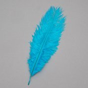 ФОТО КАРТИНКИ ЗОБРАЖЕННЯ Страусине перо 25-30 см блакитний BOHODAR 8501-002/light-blue РОЗДРІБ ОПТ ГУРТ ГУРТОМ ОПТОМ! З ЄВРОПИ! ЯКІСТЬ! Купити Львів Характеристики Ціна Оплата Доставка "БОГОДАР" ІНТЕРНЕТ-МАГАЗИН Огляд Рейтинг Порівняння Як вибрати Якісний
