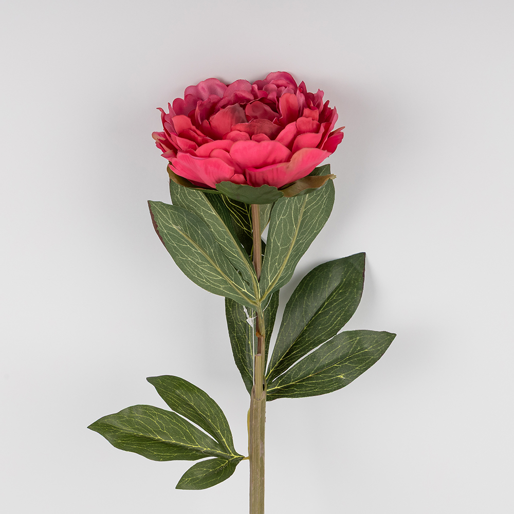 ФОТО КАРТИНКИ ЗОБРАЖЕННЯ Штучна півонія з ефектом живого дотику, темно-рожева, 67 см BOHODAR 2019-020 РОЗДРІБ ОПТ ГУРТ ГУРТОМ ОПТОМ! З ЄВРОПИ! ЯКІСТЬ! Купити Львів Характеристики Ціна Оплата Доставка "БОГОДАР" ІНТЕРНЕТ-МАГАЗИН Огляд Рейтинг Порівняння Як вибрати Якісний