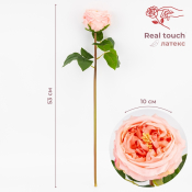 ФОТО КАРТИНКИ ЗОБРАЖЕННЯ Штучна піоновидна троянда з ефектом живого дотику, пудрова, 53 см BOHODAR 2025-027 РОЗДРІБ ОПТ ГУРТ ГУРТОМ ОПТОМ! З ЄВРОПИ! ЯКІСТЬ! Купити Львів Характеристики Ціна Оплата Доставка "БОГОДАР" ІНТЕРНЕТ-МАГАЗИН Огляд Рейтинг Порівняння Як вибрати Якісний