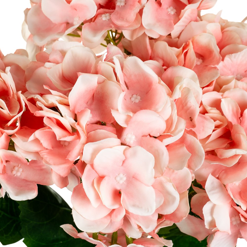 ФОТО КАРТИНКИ ЗОБРАЖЕННЯ Букет "Гортензія коралова" BOHODAR 8103-010 РОЗДРІБ ОПТ ГУРТ ГУРТОМ ОПТОМ! З ЄВРОПИ! ЯКІСТЬ! Купити Львів Характеристики Ціна Оплата Доставка "БОГОДАР" ІНТЕРНЕТ-МАГАЗИН Огляд Рейтинг Порівняння Як вибрати Якісний