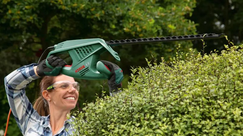 ФОТО КАРТИНКИ ЗОБРАЖЕННЯ Електричний садовий кущоріз BOSCH EasyHedgeCut 55 (0600847C02) : 420 Вт, шина 550 мм, 2,7 кг РОЗДРІБ ОПТ ГУРТ ГУРТОМ ОПТОМ! З ЄВРОПИ! ЯКІСТЬ! Купити Львів Характеристики Ціна Оплата Доставка "БОГОДАР" ІНТЕРНЕТ-МАГАЗИН Огляд Рейтинг Порівняння Як вибрати Якісний