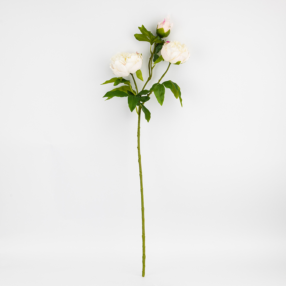 ФОТО КАРТИНКИ ЗОБРАЖЕННЯ Штучна півонія з 3 бутонами з ефектом живого дотику, біла, 80 см BOHODAR 2025-009 РОЗДРІБ ОПТ ГУРТ ГУРТОМ ОПТОМ! З ЄВРОПИ! ЯКІСТЬ! Купити Львів Характеристики Ціна Оплата Доставка "БОГОДАР" ІНТЕРНЕТ-МАГАЗИН Огляд Рейтинг Порівняння Як вибрати Якісний