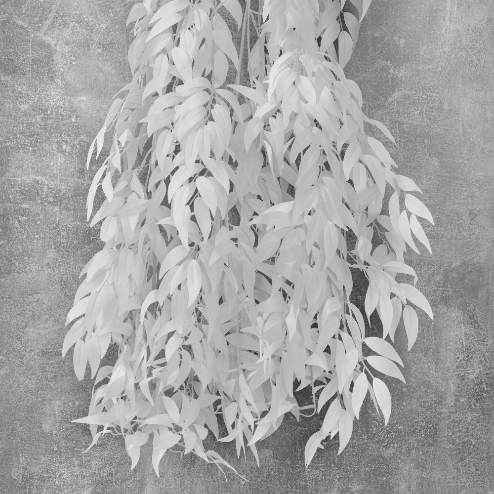 ФОТО КАРТИНКИ ЗОБРАЖЕННЯ Декоративна гілка,165 см BOHODAR 8414-031 РОЗДРІБ ОПТ ГУРТ ГУРТОМ ОПТОМ! З ЄВРОПИ! ЯКІСТЬ! Купити Львів Характеристики Ціна Оплата Доставка "БОГОДАР" ІНТЕРНЕТ-МАГАЗИН Огляд Рейтинг Порівняння Як вибрати Якісний