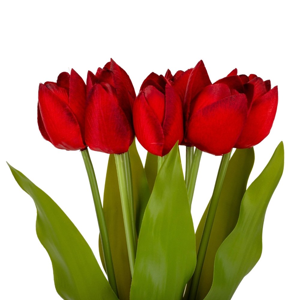 ФОТО КАРТИНКИ ЗОБРАЖЕННЯ Букет тюльпанів "Барви", червоний, 40 см BOHODAR 9129-023 РОЗДРІБ ОПТ ГУРТ ГУРТОМ ОПТОМ! З ЄВРОПИ! ЯКІСТЬ! Купити Львів Характеристики Ціна Оплата Доставка "БОГОДАР" ІНТЕРНЕТ-МАГАЗИН Огляд Рейтинг Порівняння Як вибрати Якісний
