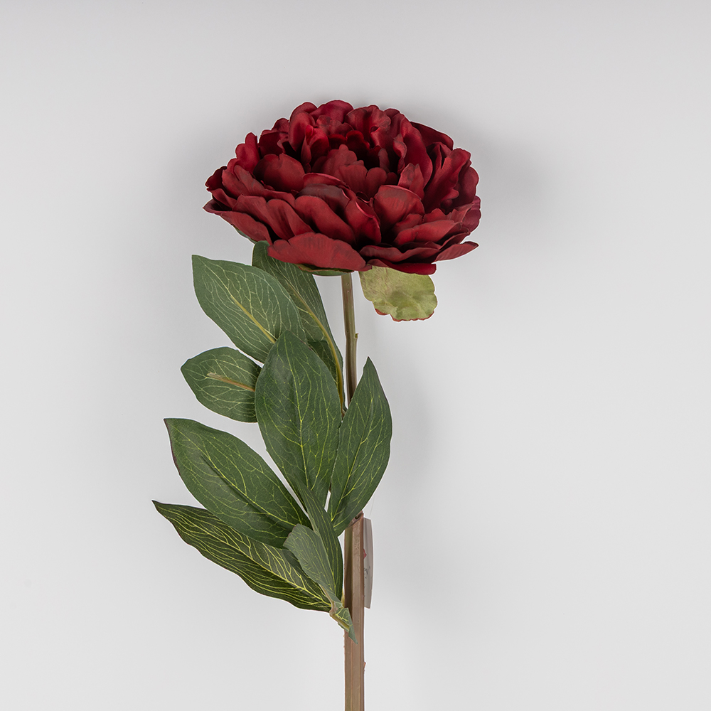 ФОТО КАРТИНКИ ЗОБРАЖЕННЯ Штучна півонія з ефектом живого дотику, бордова, 67 см BOHODAR 2019-021 РОЗДРІБ ОПТ ГУРТ ГУРТОМ ОПТОМ! З ЄВРОПИ! ЯКІСТЬ! Купити Львів Характеристики Ціна Оплата Доставка "БОГОДАР" ІНТЕРНЕТ-МАГАЗИН Огляд Рейтинг Порівняння Як вибрати Якісний