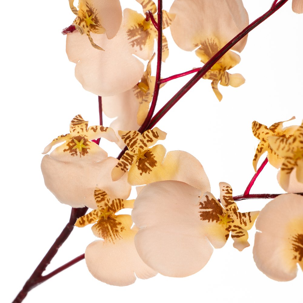 ФОТО КАРТИНКИ ЗОБРАЖЕННЯ Букет "Тропічні квіти", пастельний BOHODAR 8114-025 РОЗДРІБ ОПТ ГУРТ ГУРТОМ ОПТОМ! З ЄВРОПИ! ЯКІСТЬ! Купити Львів Характеристики Ціна Оплата Доставка "БОГОДАР" ІНТЕРНЕТ-МАГАЗИН Огляд Рейтинг Порівняння Як вибрати Якісний