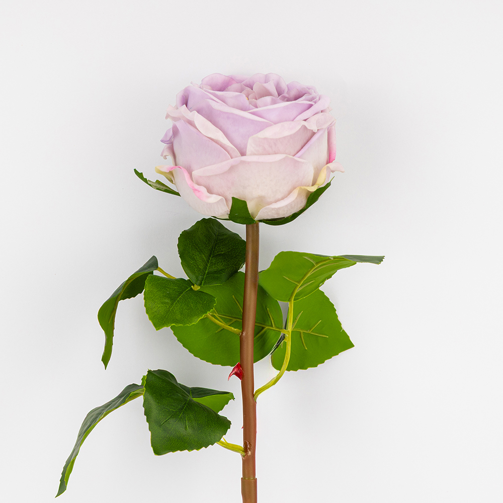 ФОТО КАРТИНКИ ЗОБРАЖЕННЯ Штучна піоновидна троянда з ефектом живого дотику, лілова, 53 см BOHODAR 2025-025 РОЗДРІБ ОПТ ГУРТ ГУРТОМ ОПТОМ! З ЄВРОПИ! ЯКІСТЬ! Купити Львів Характеристики Ціна Оплата Доставка "БОГОДАР" ІНТЕРНЕТ-МАГАЗИН Огляд Рейтинг Порівняння Як вибрати Якісний