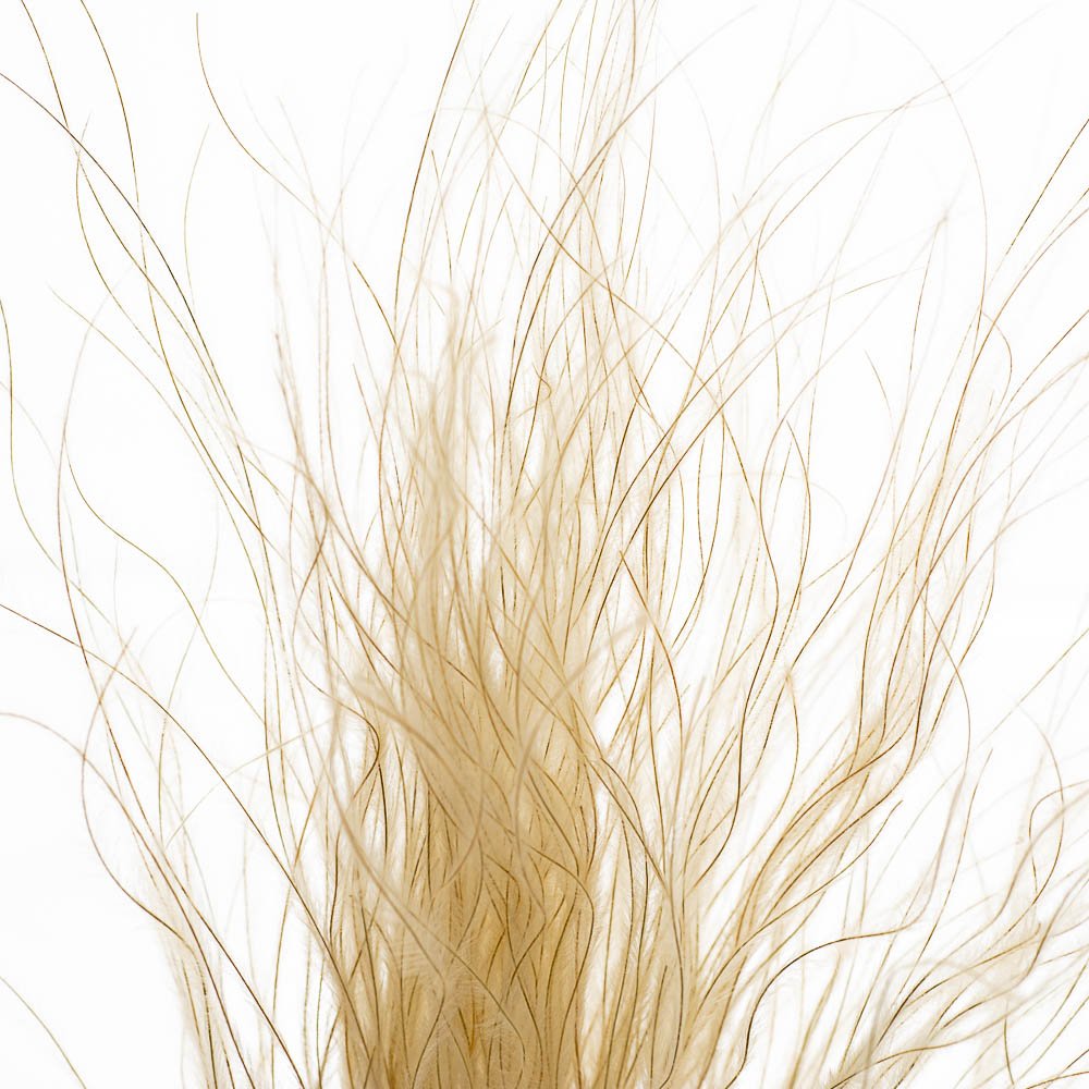 ФОТО КАРТИНКИ ЗОБРАЖЕННЯ Ковилаа Сіра, стабілізований BOHODAR 8213-030 РОЗДРІБ ОПТ ГУРТ ГУРТОМ ОПТОМ! З ЄВРОПИ! ЯКІСТЬ! Купити Львів Характеристики Ціна Оплата Доставка "БОГОДАР" ІНТЕРНЕТ-МАГАЗИН Огляд Рейтинг Порівняння Як вибрати Якісний