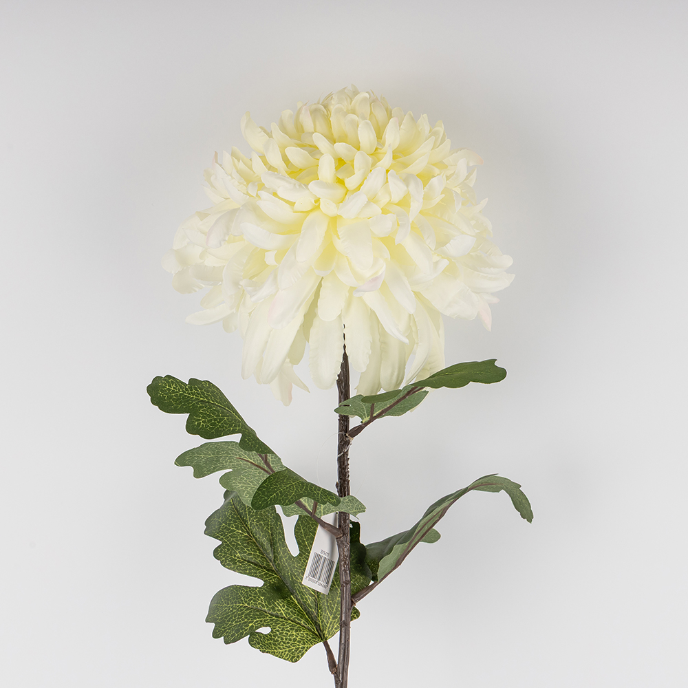 ФОТО КАРТИНКИ ЗОБРАЖЕННЯ Штучна хризантема, біла, 84 см BOHODAR 2019-013 РОЗДРІБ ОПТ ГУРТ ГУРТОМ ОПТОМ! З ЄВРОПИ! ЯКІСТЬ! Купити Львів Характеристики Ціна Оплата Доставка "БОГОДАР" ІНТЕРНЕТ-МАГАЗИН Огляд Рейтинг Порівняння Як вибрати Якісний