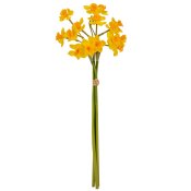 ФОТО КАРТИНКИ ЗОБРАЖЕННЯ Букет нарцисів "Натхнення", жовтий, 50 см BOHODAR 9129-007 РОЗДРІБ ОПТ ГУРТ ГУРТОМ ОПТОМ! З ЄВРОПИ! ЯКІСТЬ! Купити Львів Характеристики Ціна Оплата Доставка "БОГОДАР" ІНТЕРНЕТ-МАГАЗИН Огляд Рейтинг Порівняння Як вибрати Якісний