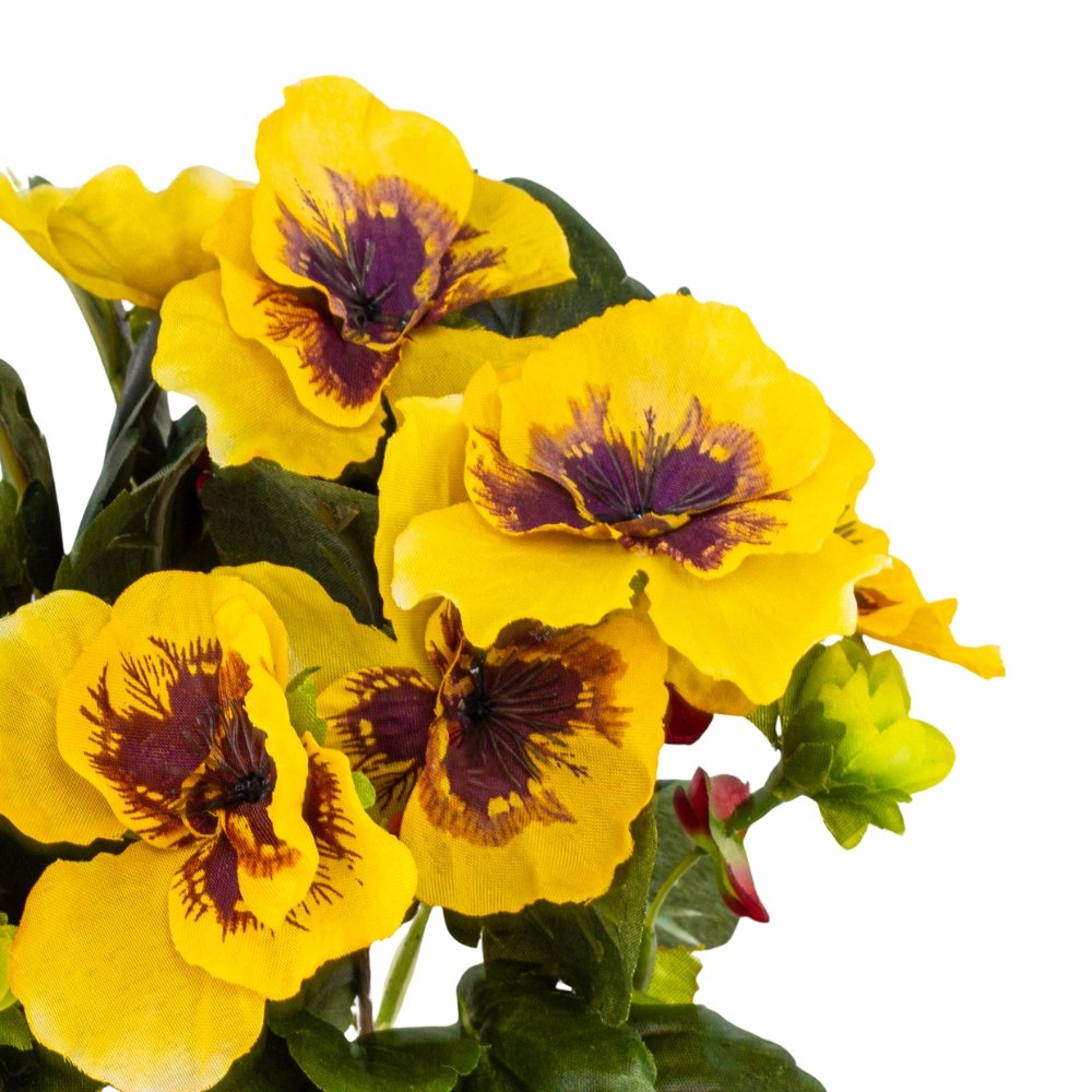 ФОТО КАРТИНКИ ЗОБРАЖЕННЯ Братки жовті, 25 см BOHODAR 106F/yellow РОЗДРІБ ОПТ ГУРТ ГУРТОМ ОПТОМ! З ЄВРОПИ! ЯКІСТЬ! Купити Львів Характеристики Ціна Оплата Доставка "БОГОДАР" ІНТЕРНЕТ-МАГАЗИН Огляд Рейтинг Порівняння Як вибрати Якісний