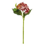 ФОТО КАРТИНКИ ЗОБРАЖЕННЯ Букет "Гортензія великолиста", бордова BOHODAR 8114-002 РОЗДРІБ ОПТ ГУРТ ГУРТОМ ОПТОМ! З ЄВРОПИ! ЯКІСТЬ! Купити Львів Характеристики Ціна Оплата Доставка "БОГОДАР" ІНТЕРНЕТ-МАГАЗИН Огляд Рейтинг Порівняння Як вибрати Якісний