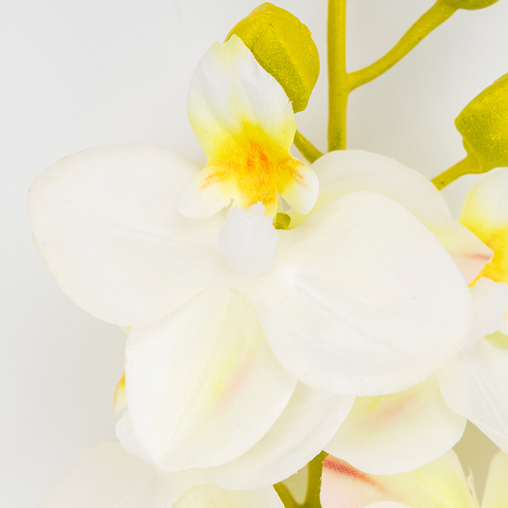 ФОТО КАРТИНКИ ЗОБРАЖЕННЯ Латексна орхідея, біла, 72 см ВРЯТОВАНА ПОЗИЦІЯ BOHODAR 9259-138 РОЗДРІБ ОПТ ГУРТ ГУРТОМ ОПТОМ! З ЄВРОПИ! ЯКІСТЬ! Купити Львів Характеристики Ціна Оплата Доставка "БОГОДАР" ІНТЕРНЕТ-МАГАЗИН Огляд Рейтинг Порівняння Як вибрати Якісний