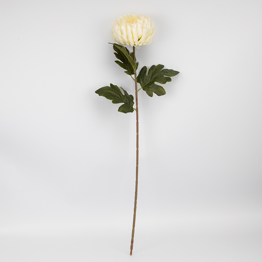 ФОТО КАРТИНКИ ЗОБРАЖЕННЯ Штучна хризантема, кремова, 72 см BOHODAR 2026-011/cream РОЗДРІБ ОПТ ГУРТ ГУРТОМ ОПТОМ! З ЄВРОПИ! ЯКІСТЬ! Купити Львів Характеристики Ціна Оплата Доставка "БОГОДАР" ІНТЕРНЕТ-МАГАЗИН Огляд Рейтинг Порівняння Як вибрати Якісний