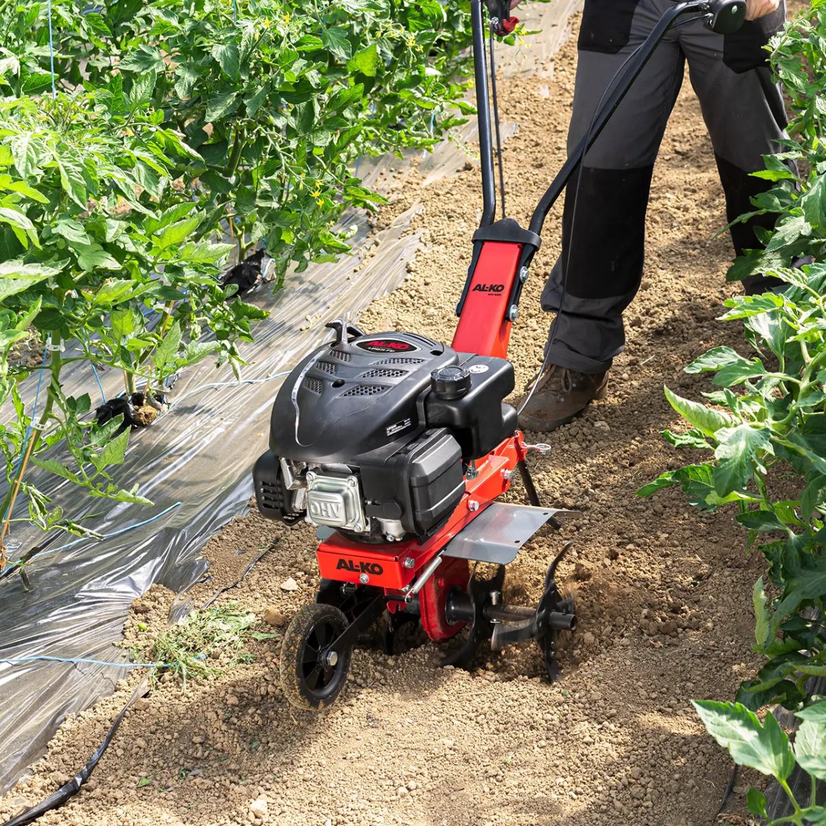 ФОТО КАРТИНКИ ЗОБРАЖЕННЯ Бензиновий культиватор (бензокультиватор) AL-KO MH 360 : 2.2 кВт, двигун 139 см3, ширина захвату 36 см РОЗДРІБ ОПТ ГУРТ ГУРТОМ ОПТОМ! З ЄВРОПИ! ЯКІСТЬ! Купити Львів Характеристики Ціна Оплата Доставка "БОГОДАР" ІНТЕРНЕТ-МАГАЗИН Огляд Рейтинг Порівняння Як вибрати Якісний