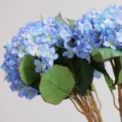 Гортензії штучні 