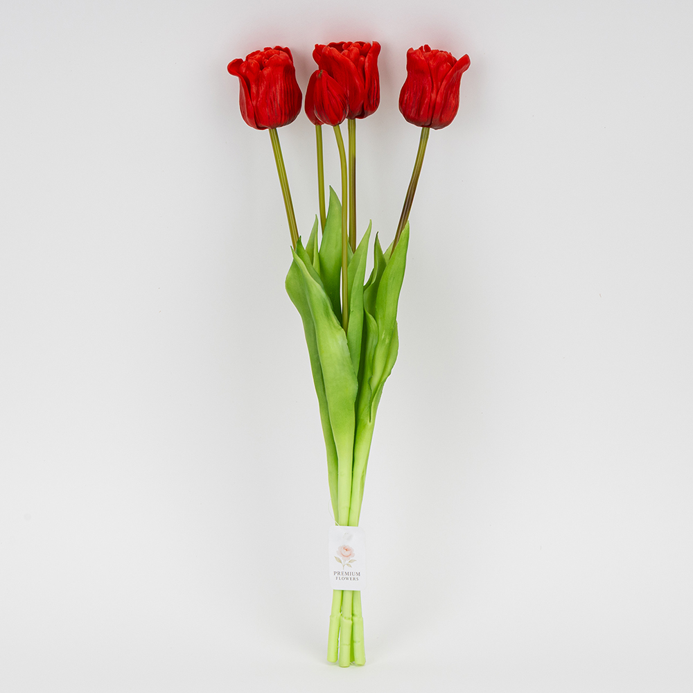 ФОТО КАРТИНКИ ЗОБРАЖЕННЯ Букет латексних тюльпанів, 5 бутонів, червоний, 49 см BOHODAR 2026-005/red РОЗДРІБ ОПТ ГУРТ ГУРТОМ ОПТОМ! З ЄВРОПИ! ЯКІСТЬ! Купити Львів Характеристики Ціна Оплата Доставка "БОГОДАР" ІНТЕРНЕТ-МАГАЗИН Огляд Рейтинг Порівняння Як вибрати Якісний