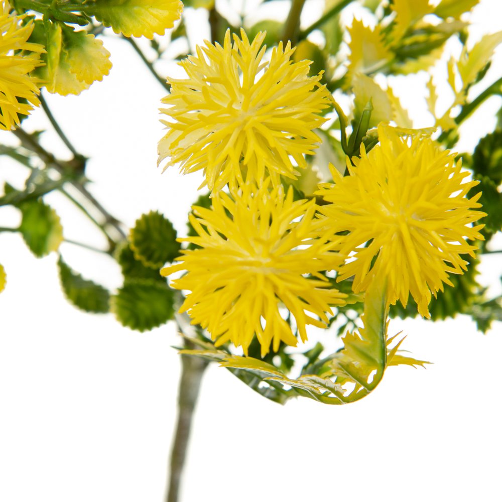 ФОТО КАРТИНКИ ЗОБРАЖЕННЯ Букет Айстри, жовтий BOHODAR 8723-204 РОЗДРІБ ОПТ ГУРТ ГУРТОМ ОПТОМ! З ЄВРОПИ! ЯКІСТЬ! Купити Львів Характеристики Ціна Оплата Доставка "БОГОДАР" ІНТЕРНЕТ-МАГАЗИН Огляд Рейтинг Порівняння Як вибрати Якісний