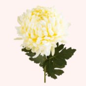 Хризантеми штучні