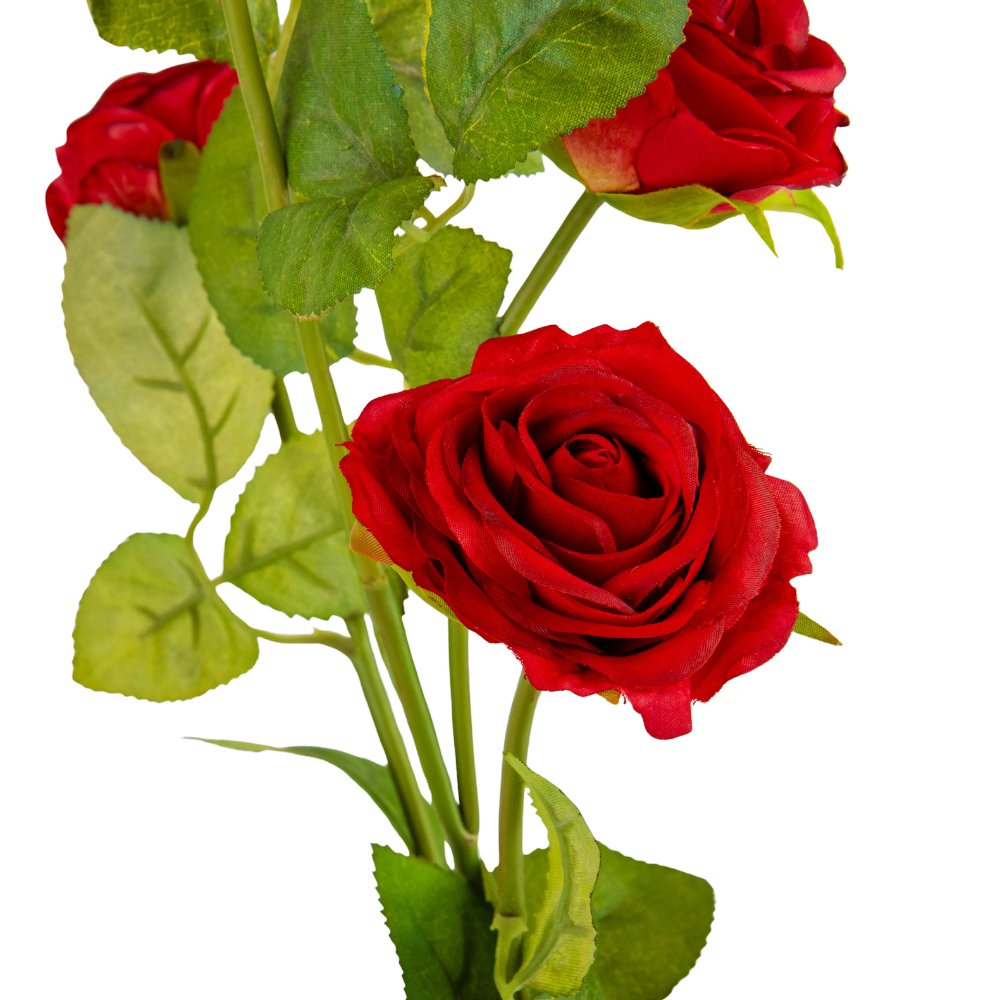 ФОТО КАРТИНКИ ЗОБРАЖЕННЯ Троянда "Мірабель", червона, 56 см BOHODAR 9023-043 РОЗДРІБ ОПТ ГУРТ ГУРТОМ ОПТОМ! З ЄВРОПИ! ЯКІСТЬ! Купити Львів Характеристики Ціна Оплата Доставка "БОГОДАР" ІНТЕРНЕТ-МАГАЗИН Огляд Рейтинг Порівняння Як вибрати Якісний