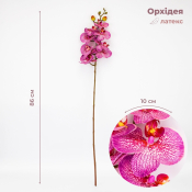 ФОТО КАРТИНКИ ЗОБРАЖЕННЯ Латексна орхідея, рожева, 86 см ВРЯТОВАНА ПОЗИЦІЯ BOHODAR 9259-106 РОЗДРІБ ОПТ ГУРТ ГУРТОМ ОПТОМ! З ЄВРОПИ! ЯКІСТЬ! Купити Львів Характеристики Ціна Оплата Доставка "БОГОДАР" ІНТЕРНЕТ-МАГАЗИН Огляд Рейтинг Порівняння Як вибрати Якісний