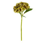 ФОТО КАРТИНКИ ЗОБРАЖЕННЯ Букет "Гортензія кімнатна", салатова BOHODAR 8114-013 РОЗДРІБ ОПТ ГУРТ ГУРТОМ ОПТОМ! З ЄВРОПИ! ЯКІСТЬ! Купити Львів Характеристики Ціна Оплата Доставка "БОГОДАР" ІНТЕРНЕТ-МАГАЗИН Огляд Рейтинг Порівняння Як вибрати Якісний