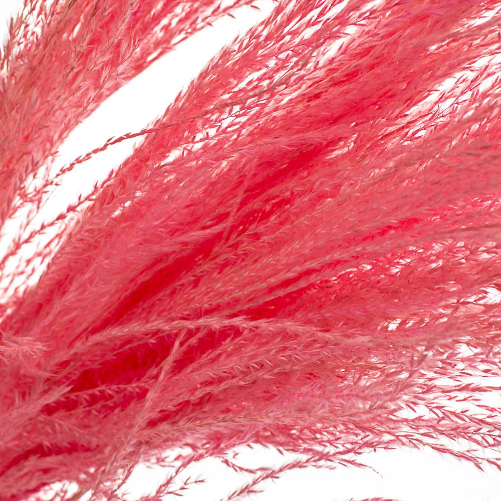 ФОТО КАРТИНКИ ЗОБРАЖЕННЯ Ковилаа Рожева, стабілізований BOHODAR 8213-045 РОЗДРІБ ОПТ ГУРТ ГУРТОМ ОПТОМ! З ЄВРОПИ! ЯКІСТЬ! Купити Львів Характеристики Ціна Оплата Доставка "БОГОДАР" ІНТЕРНЕТ-МАГАЗИН Огляд Рейтинг Порівняння Як вибрати Якісний