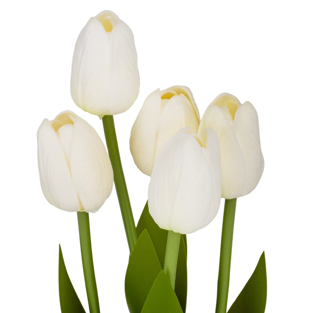 ФОТО КАРТИНКИ ЗОБРАЖЕННЯ Букет тюльпанів "Рапсодія", кремовий, 25,5 см BOHODAR 9129-013 РОЗДРІБ ОПТ ГУРТ ГУРТОМ ОПТОМ! З ЄВРОПИ! ЯКІСТЬ! Купити Львів Характеристики Ціна Оплата Доставка "БОГОДАР" ІНТЕРНЕТ-МАГАЗИН Огляд Рейтинг Порівняння Як вибрати Якісний