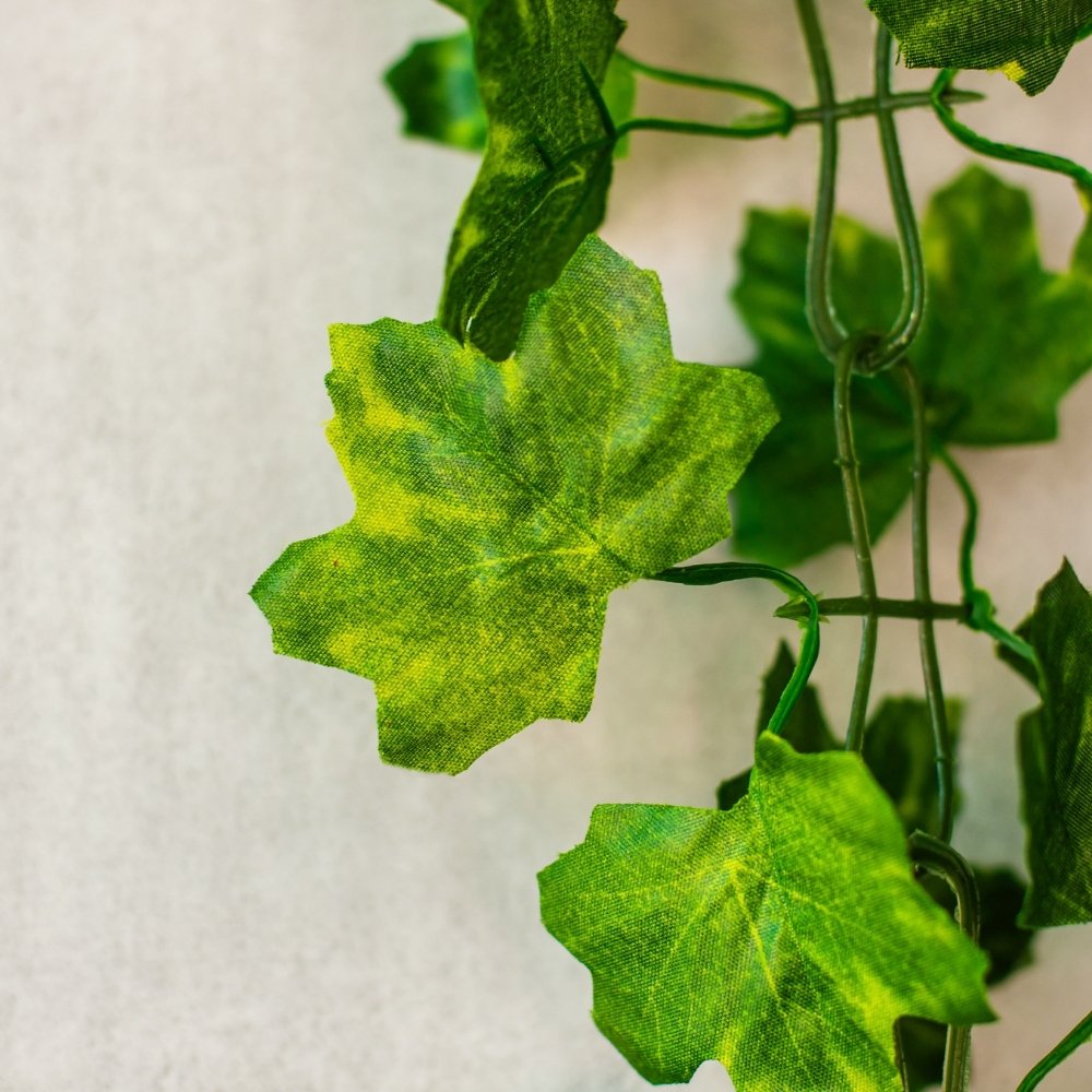 ФОТО КАРТИНКИ ЗОБРАЖЕННЯ Гірлянда "Виноградна лоза", 190 см BOHODAR 9161-014 РОЗДРІБ ОПТ ГУРТ ГУРТОМ ОПТОМ! З ЄВРОПИ! ЯКІСТЬ! Купити Львів Характеристики Ціна Оплата Доставка "БОГОДАР" ІНТЕРНЕТ-МАГАЗИН Огляд Рейтинг Порівняння Як вибрати Якісний