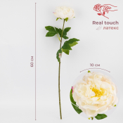 ФОТО КАРТИНКИ ЗОБРАЖЕННЯ Штучна півонія з ефектом живого дотику, біла, 60 см BOHODAR 2025-005 РОЗДРІБ ОПТ ГУРТ ГУРТОМ ОПТОМ! З ЄВРОПИ! ЯКІСТЬ! Купити Львів Характеристики Ціна Оплата Доставка "БОГОДАР" ІНТЕРНЕТ-МАГАЗИН Огляд Рейтинг Порівняння Як вибрати Якісний