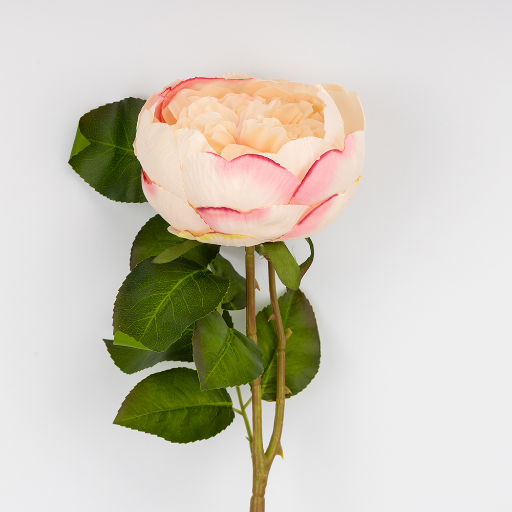 ФОТО КАРТИНКИ ЗОБРАЖЕННЯ Троянда піоновидна, ніжно-рожева, 61 см BOHODAR 2026-018/pink РОЗДРІБ ОПТ ГУРТ ГУРТОМ ОПТОМ! З ЄВРОПИ! ЯКІСТЬ! Купити Львів Характеристики Ціна Оплата Доставка "БОГОДАР" ІНТЕРНЕТ-МАГАЗИН Огляд Рейтинг Порівняння Як вибрати Якісний