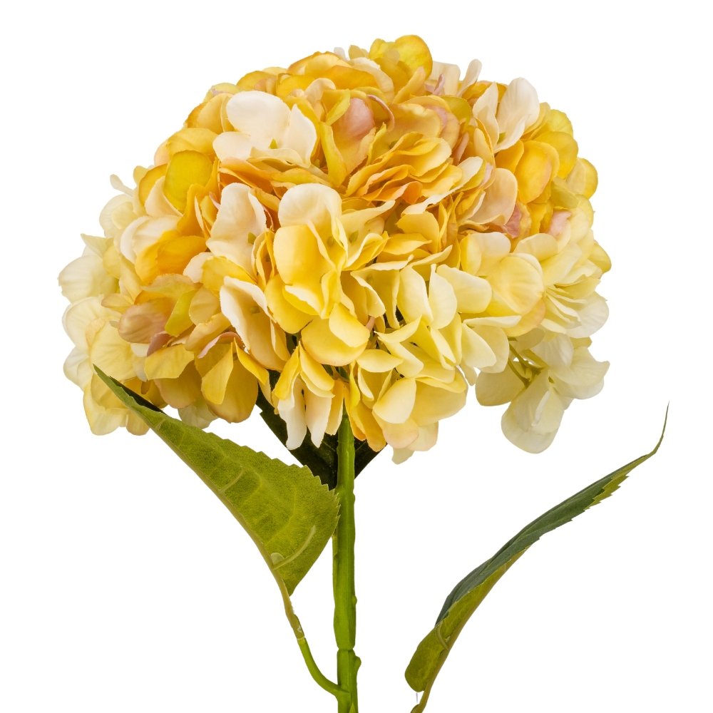 ФОТО КАРТИНКИ ЗОБРАЖЕННЯ Гортензія "Анабель", жовта, 57 см BOHODAR 9160-016 РОЗДРІБ ОПТ ГУРТ ГУРТОМ ОПТОМ! З ЄВРОПИ! ЯКІСТЬ! Купити Львів Характеристики Ціна Оплата Доставка "БОГОДАР" ІНТЕРНЕТ-МАГАЗИН Огляд Рейтинг Порівняння Як вибрати Якісний