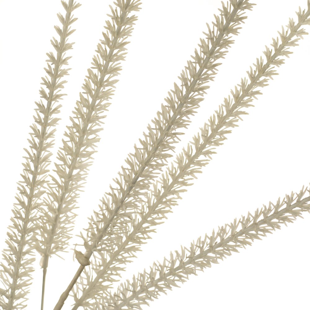 ФОТО КАРТИНКИ ЗОБРАЖЕННЯ Гілка декоративна, сіра BOHODAR 8725-053 РОЗДРІБ ОПТ ГУРТ ГУРТОМ ОПТОМ! З ЄВРОПИ! ЯКІСТЬ! Купити Львів Характеристики Ціна Оплата Доставка "БОГОДАР" ІНТЕРНЕТ-МАГАЗИН Огляд Рейтинг Порівняння Як вибрати Якісний