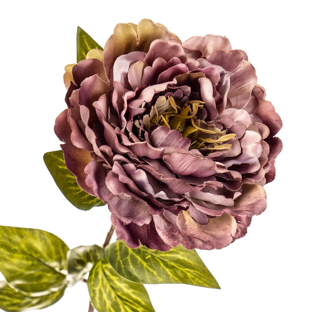 ФОТО КАРТИНКИ ЗОБРАЖЕННЯ Квітка штучна "Троянда піоноподібна фіолетова" BOHODAR 2000-016PL РОЗДРІБ ОПТ ГУРТ ГУРТОМ ОПТОМ! З ЄВРОПИ! ЯКІСТЬ! Купити Львів Характеристики Ціна Оплата Доставка "БОГОДАР" ІНТЕРНЕТ-МАГАЗИН Огляд Рейтинг Порівняння Як вибрати Якісний