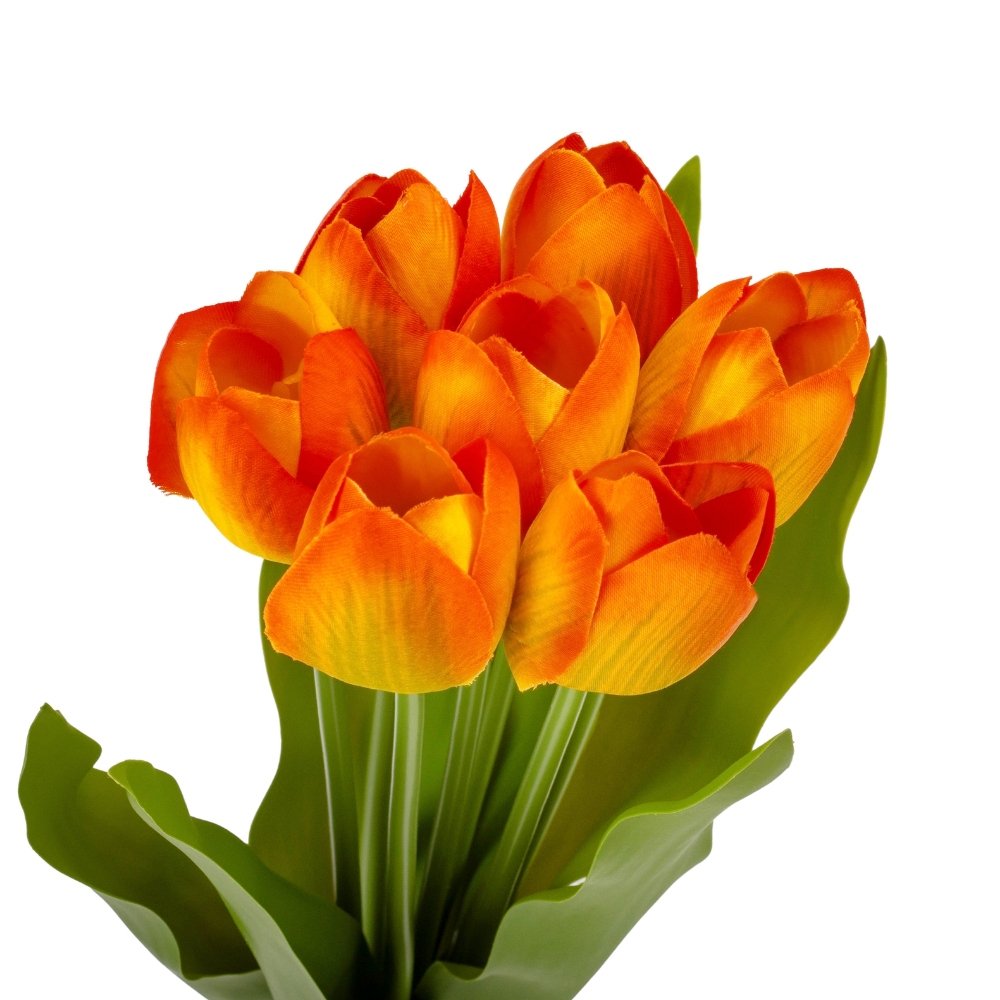 ФОТО КАРТИНКИ ЗОБРАЖЕННЯ Букет тюльпанів "Барви", помаранчевий, 40 см BOHODAR 9129-019 РОЗДРІБ ОПТ ГУРТ ГУРТОМ ОПТОМ! З ЄВРОПИ! ЯКІСТЬ! Купити Львів Характеристики Ціна Оплата Доставка "БОГОДАР" ІНТЕРНЕТ-МАГАЗИН Огляд Рейтинг Порівняння Як вибрати Якісний