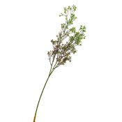 ФОТО КАРТИНКИ ЗОБРАЖЕННЯ Гілка сухоцвіту польового зелена BOHODAR 8100-002 РОЗДРІБ ОПТ ГУРТ ГУРТОМ ОПТОМ! З ЄВРОПИ! ЯКІСТЬ! Купити Львів Характеристики Ціна Оплата Доставка "БОГОДАР" ІНТЕРНЕТ-МАГАЗИН Огляд Рейтинг Порівняння Як вибрати Якісний