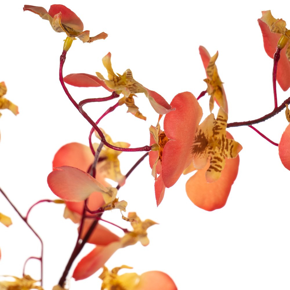 ФОТО КАРТИНКИ ЗОБРАЖЕННЯ Букет "Тропічні квіти", кораловий BOHODAR 8114-027 РОЗДРІБ ОПТ ГУРТ ГУРТОМ ОПТОМ! З ЄВРОПИ! ЯКІСТЬ! Купити Львів Характеристики Ціна Оплата Доставка "БОГОДАР" ІНТЕРНЕТ-МАГАЗИН Огляд Рейтинг Порівняння Як вибрати Якісний