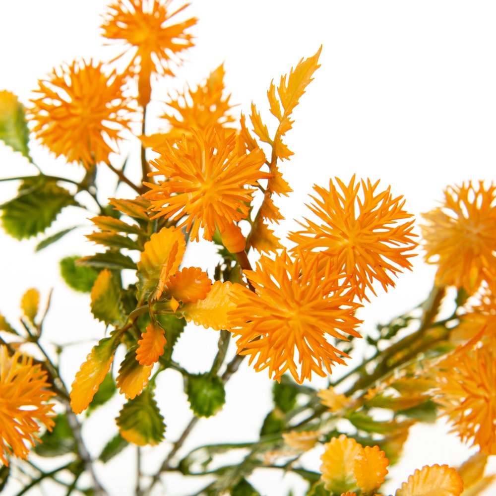 ФОТО КАРТИНКИ ЗОБРАЖЕННЯ Букет Айстри, помаранчевий BOHODAR 8723-203 РОЗДРІБ ОПТ ГУРТ ГУРТОМ ОПТОМ! З ЄВРОПИ! ЯКІСТЬ! Купити Львів Характеристики Ціна Оплата Доставка "БОГОДАР" ІНТЕРНЕТ-МАГАЗИН Огляд Рейтинг Порівняння Як вибрати Якісний